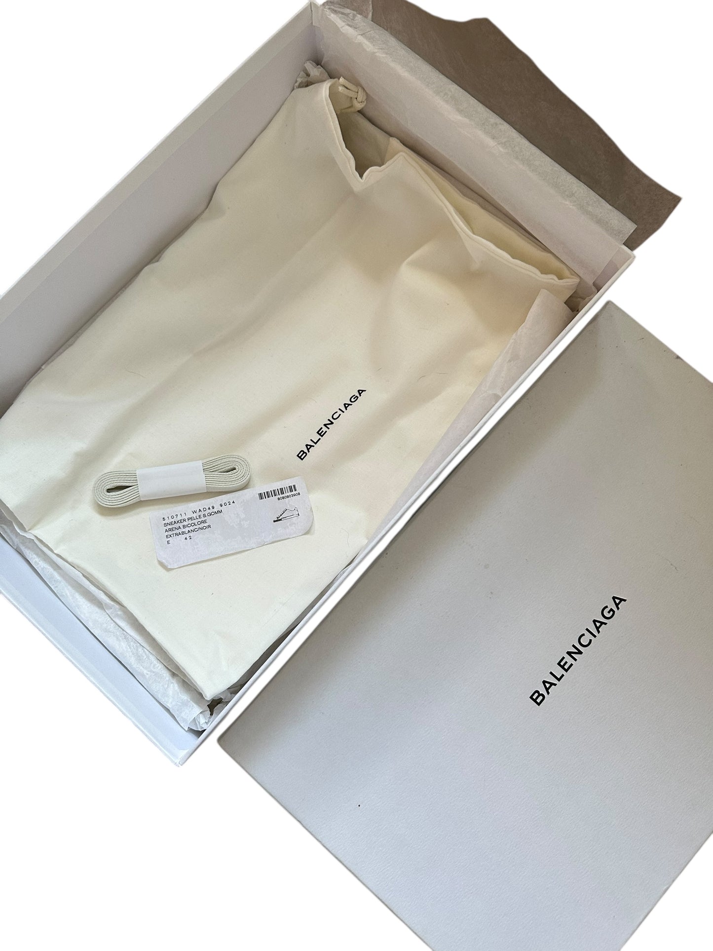 Balenciaga Arenas (8)
