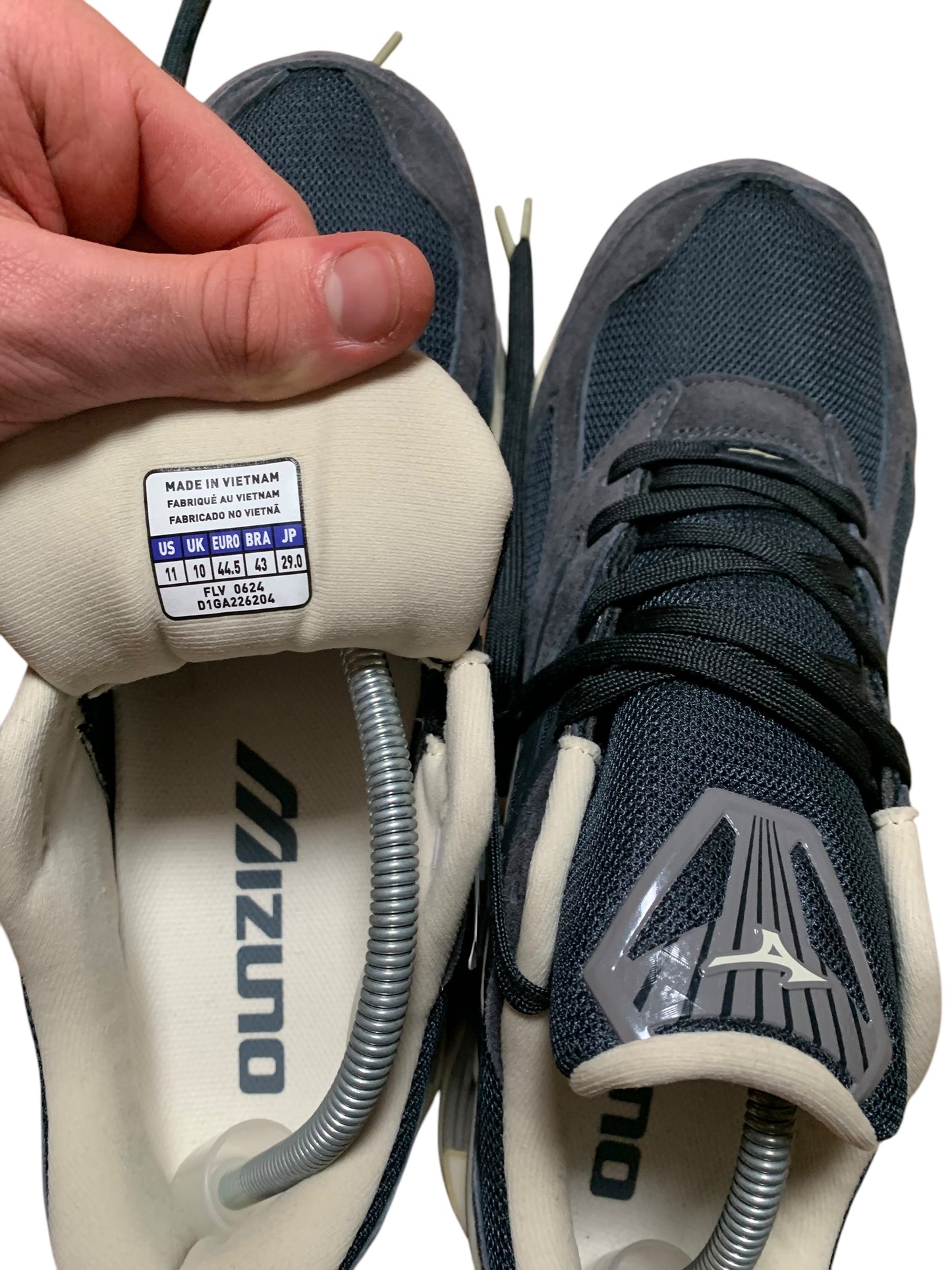 Mizuno wave prophecy (10)