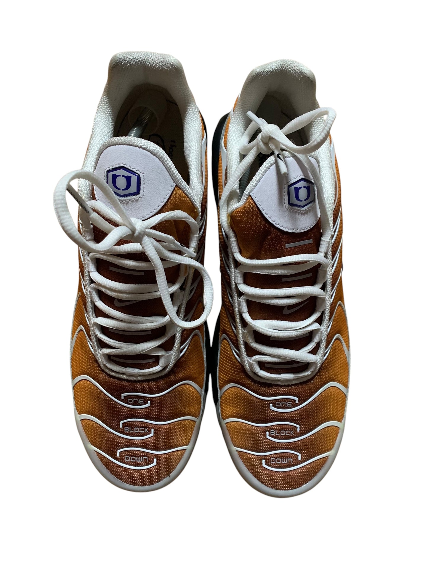 Nike x one block down air max plus TN (11)