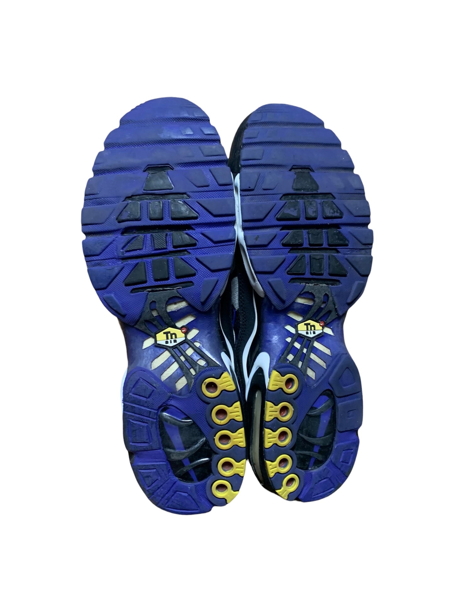 Nike air max plus TN (10)