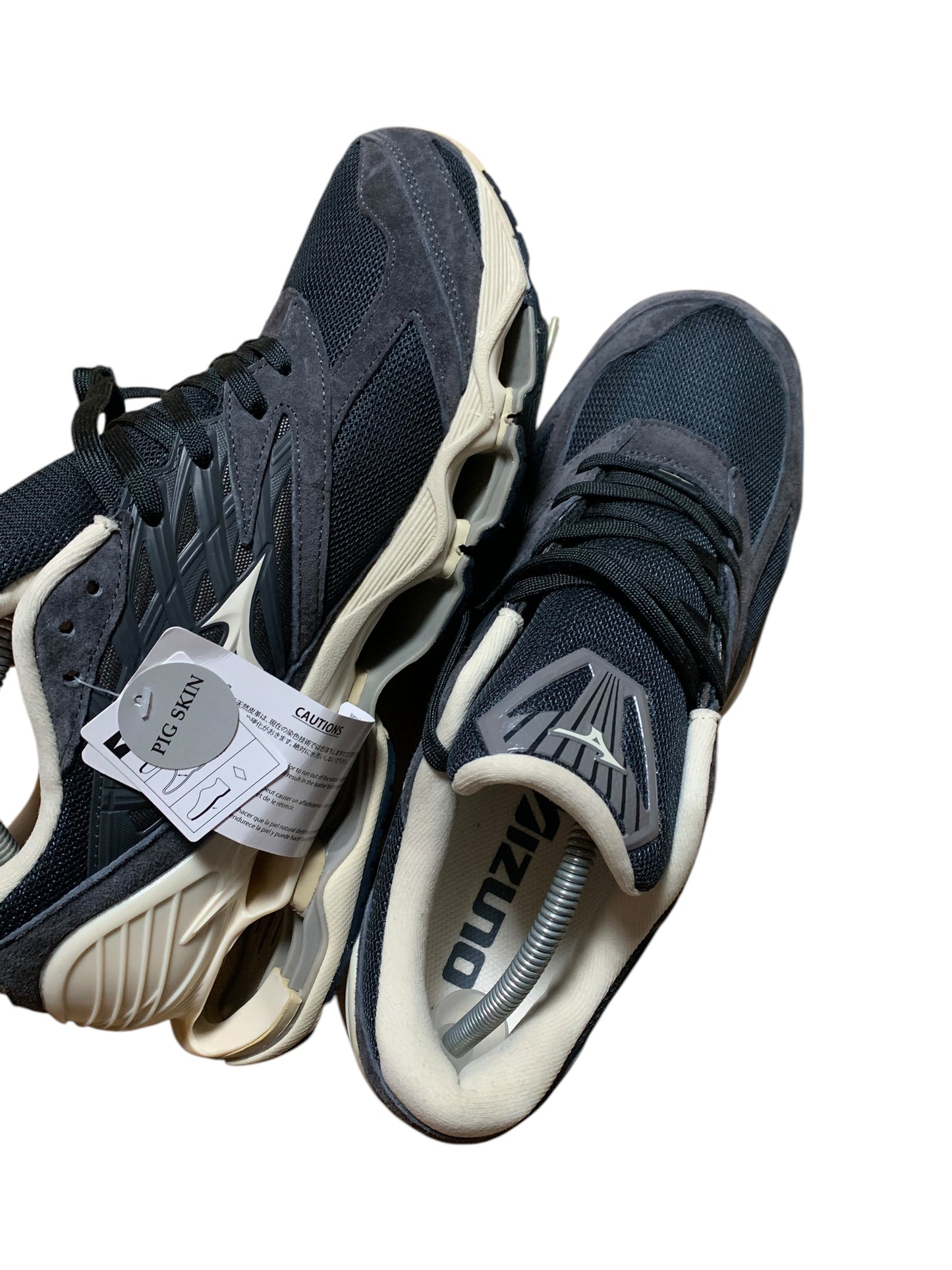 Mizuno wave prophecy (10)