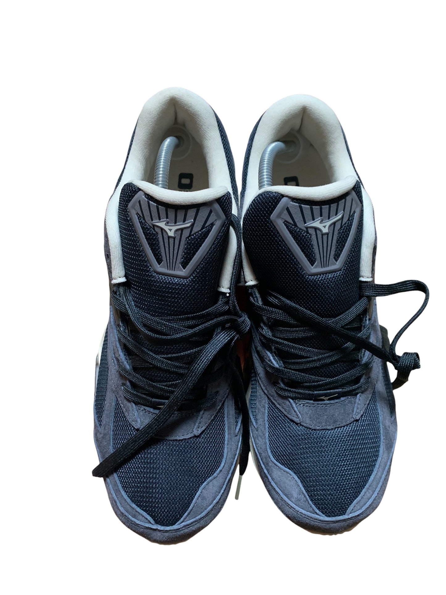Mizuno wave prophecy (10)