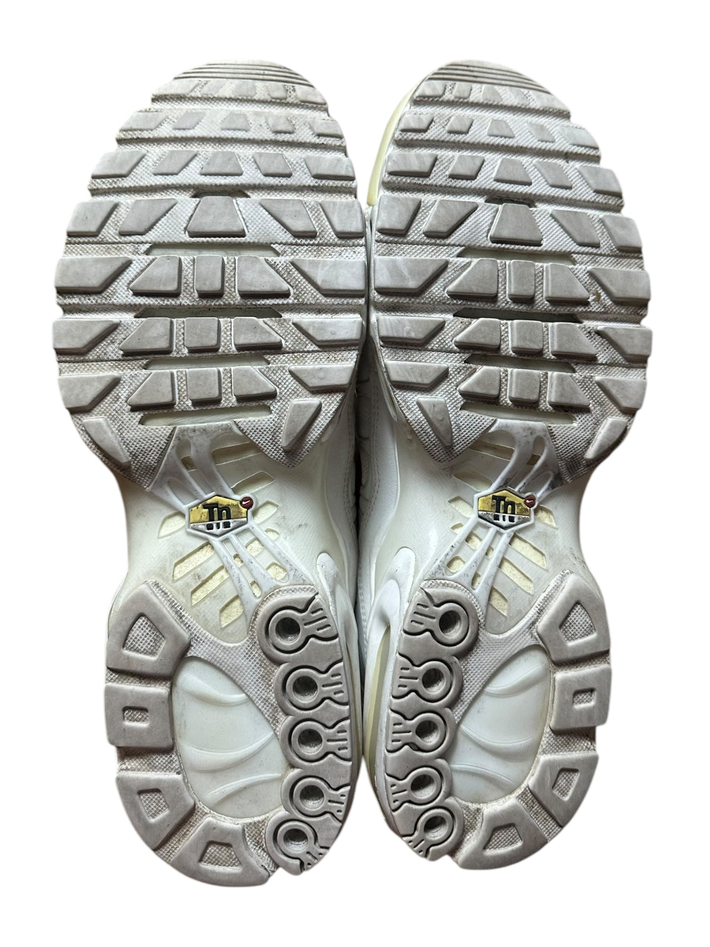 Nike supreme air max TN (9)