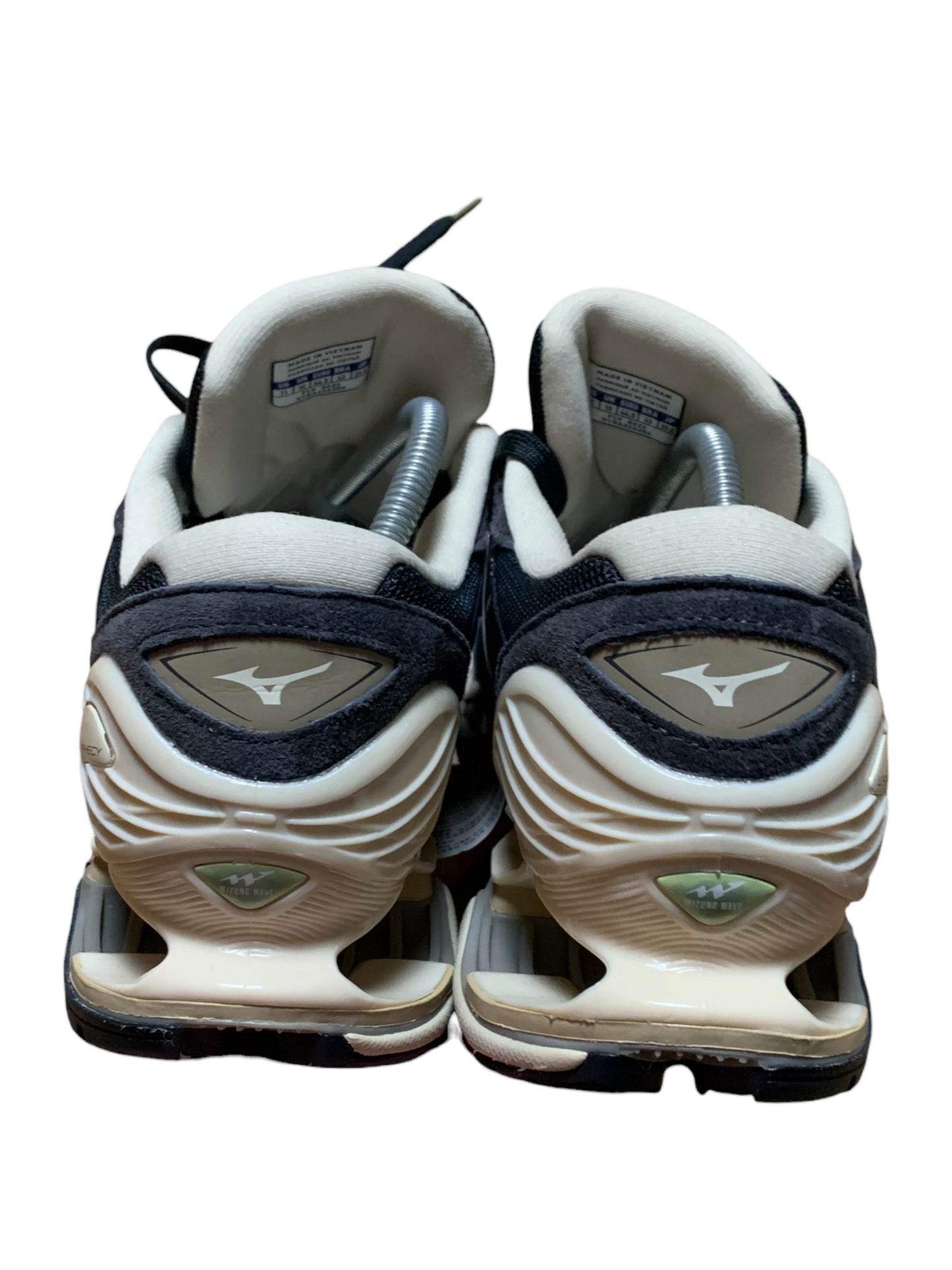 Mizuno wave prophecy (10)