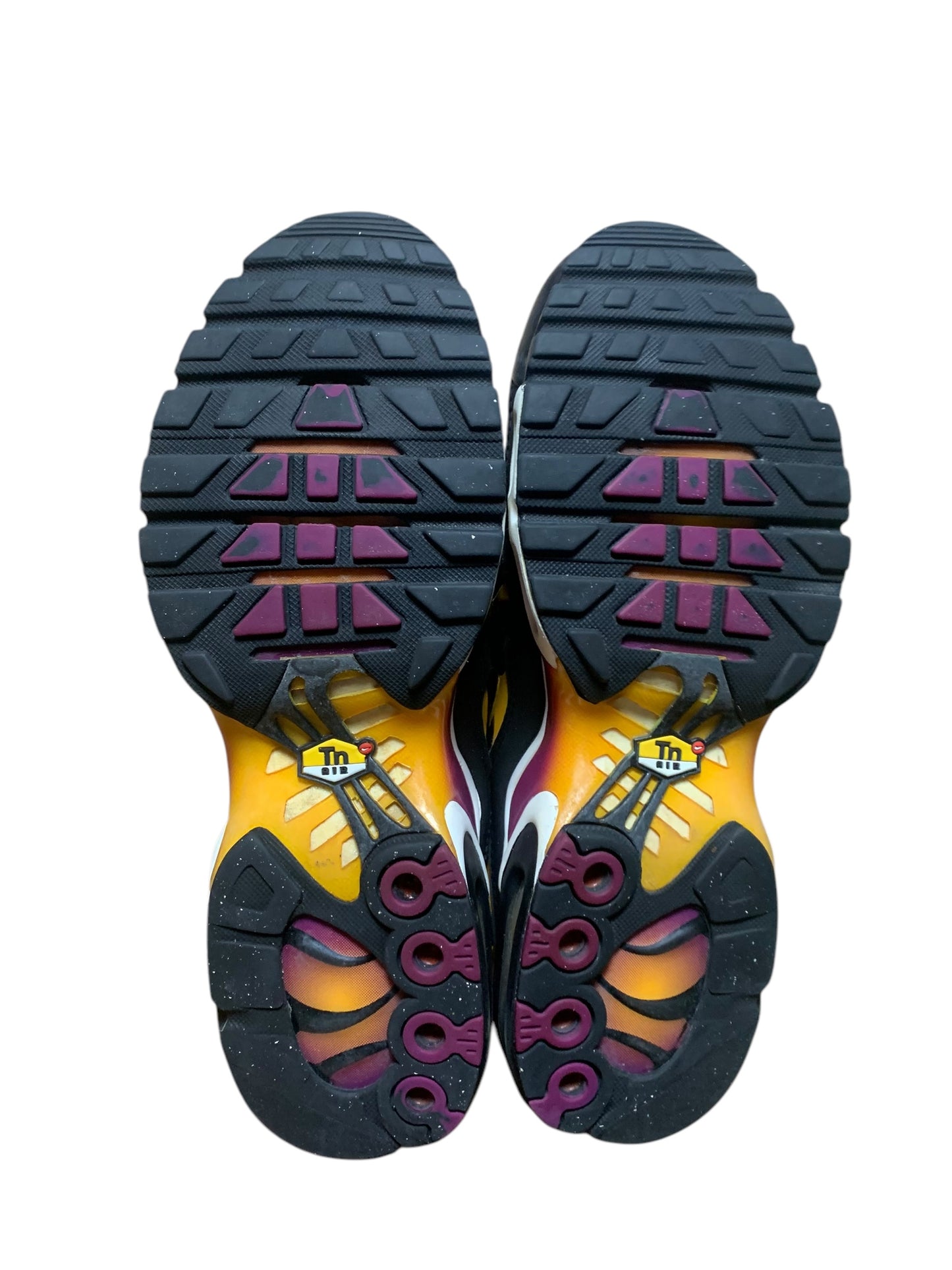 Nike air max plus TN (7)