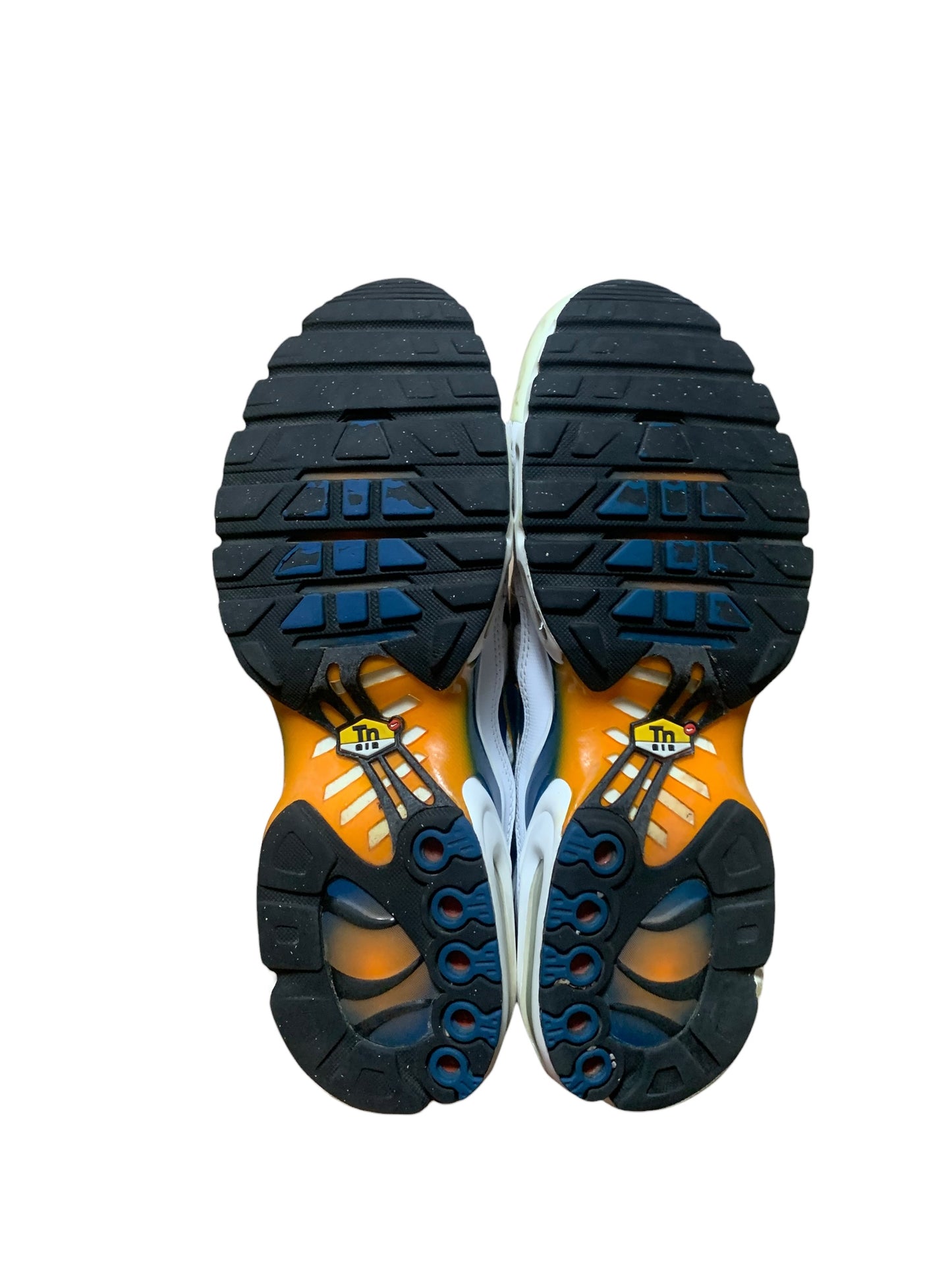 Nike air max plus TN (9)