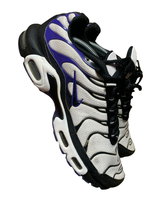 Nike air max plus TN (10)