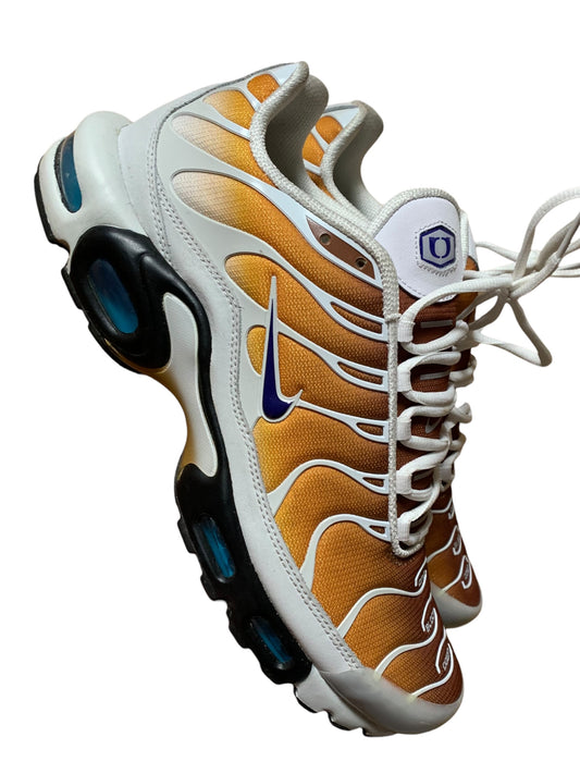 Nike x one block down air max plus TN (11)
