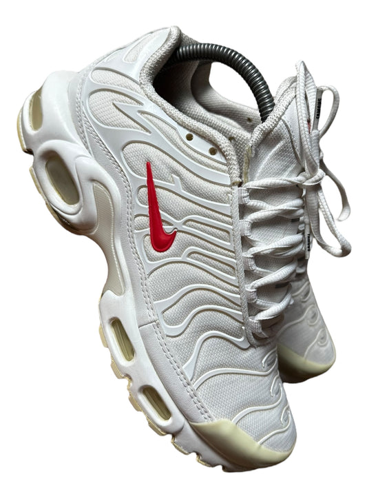 Nike Supreme TN (5.5)