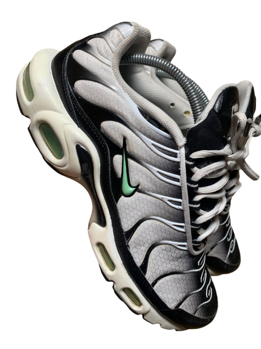 Nike air max plus TN (7.5)