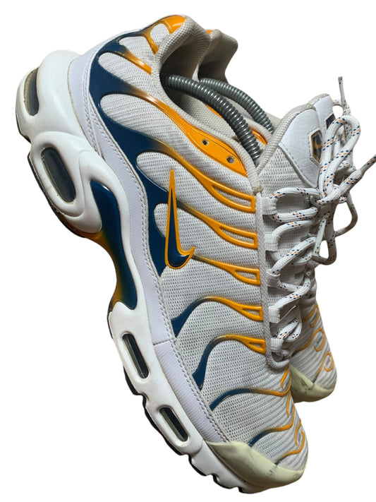 Nike air max plus TN (9)