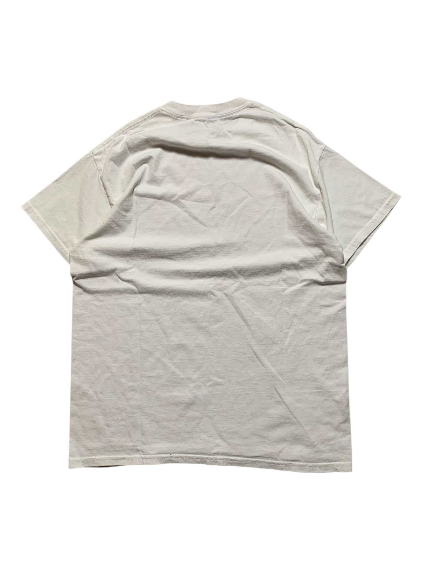 Nike SK t-shirt (M)