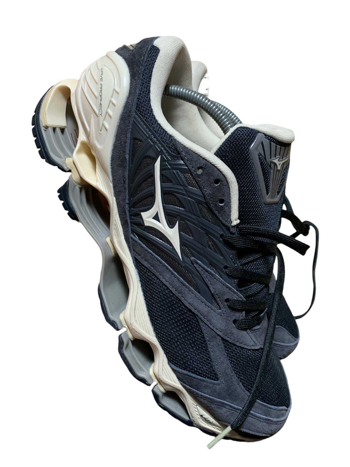 Mizuno wave prophecy (10)
