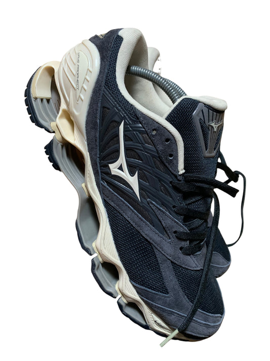 Mizuno wave prophecy (10)