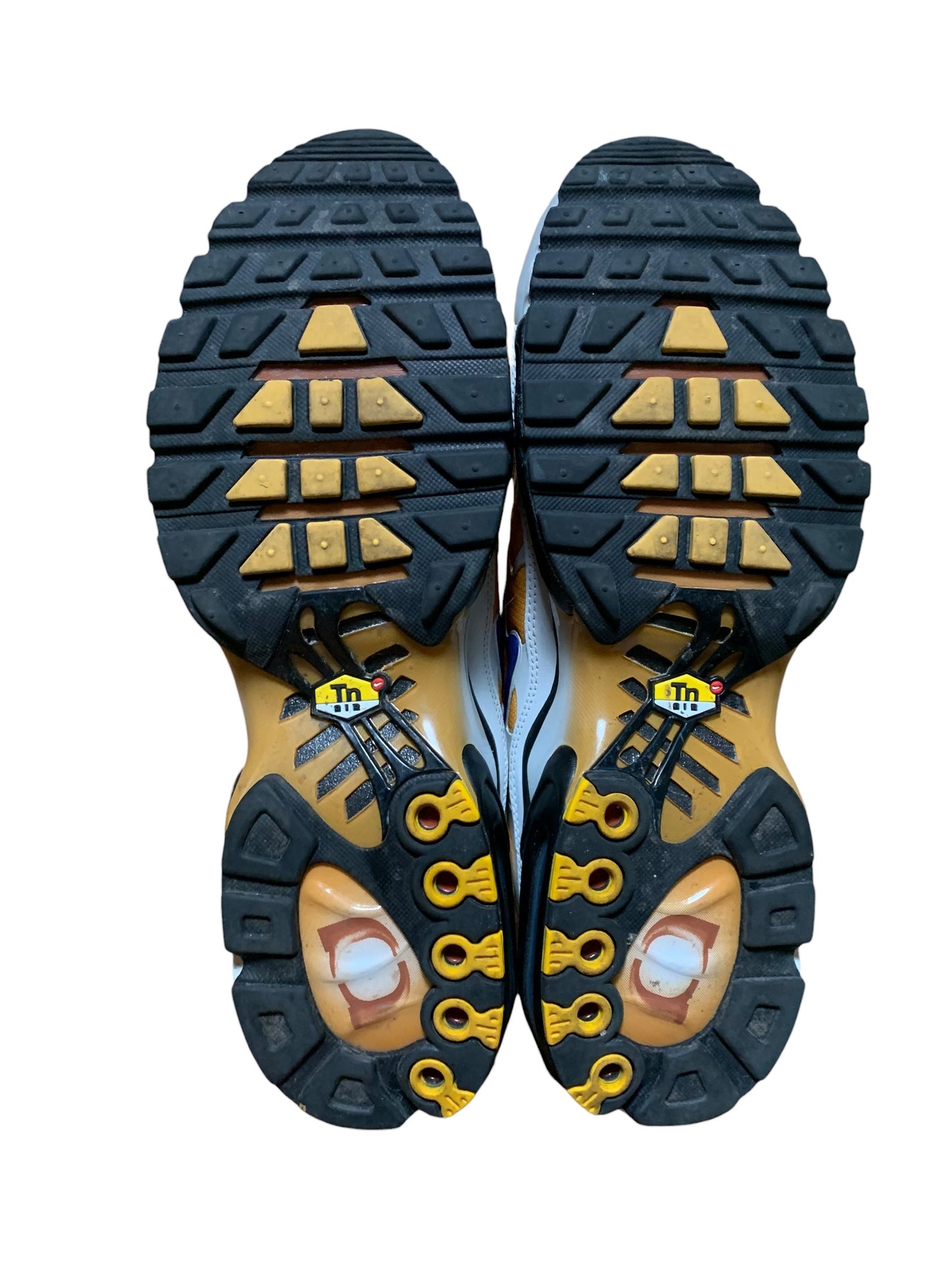 Nike x one block down air max plus TN (11)