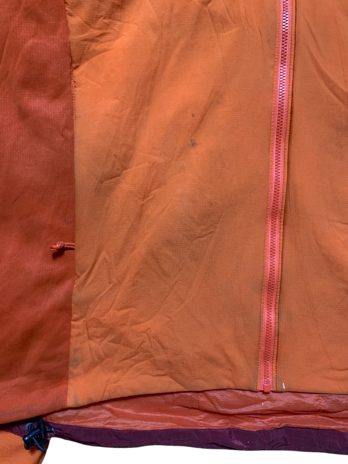 Arc’teryx atom hoodie (M)